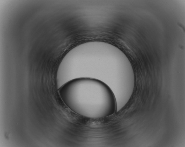 X0000091960368200709061105