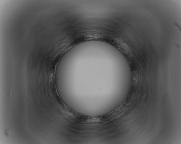 X0000091960369200709061105