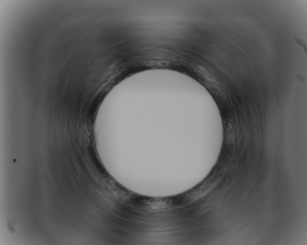 X0000091960370200709061105