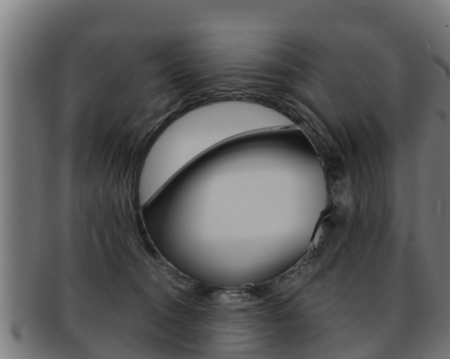 X0000091960372200709061105