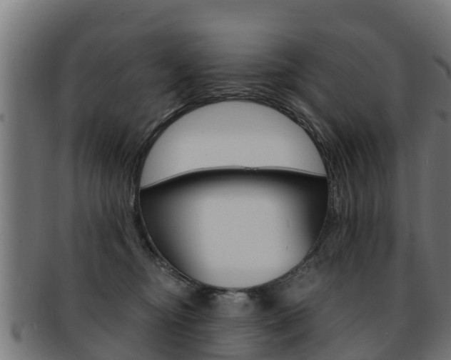 X0000091960374200709061105