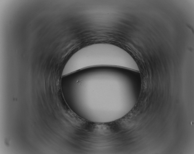 X0000091960376200709061105