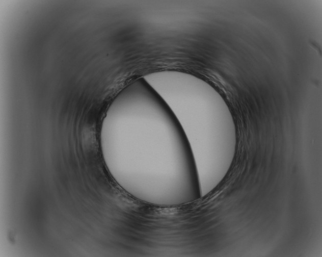 X0000091960377200709061105