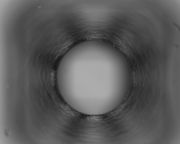 X0000091960378200709061105