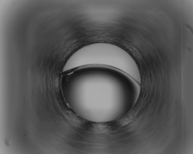 X0000091960380200709061105
