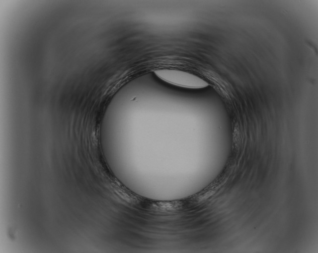 X0000091960381200709061105