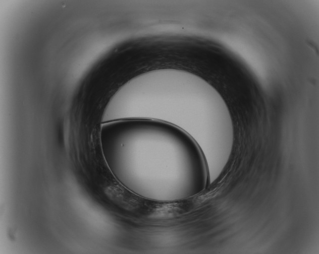 X0000091960382200709061105
