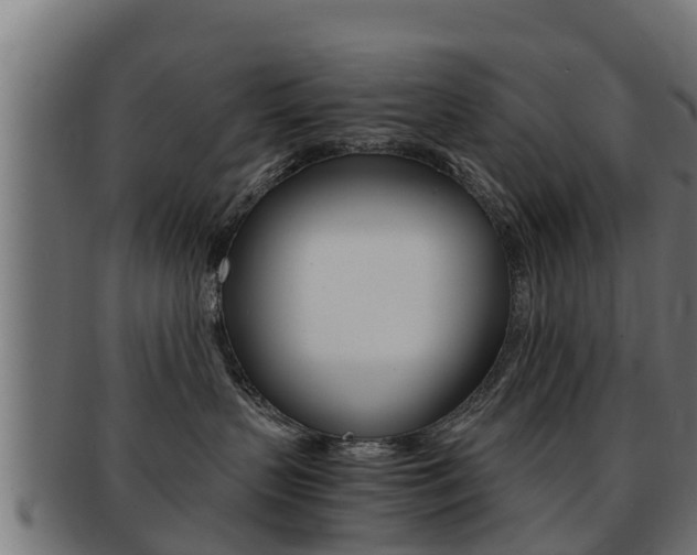 X0000091960383200709061105