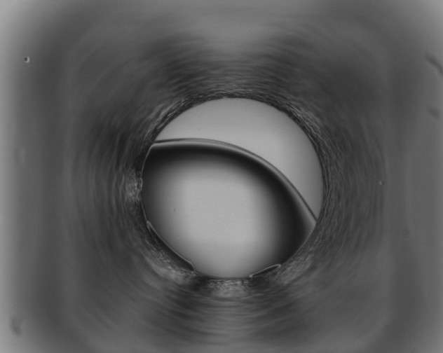 X0000091960384200709061105