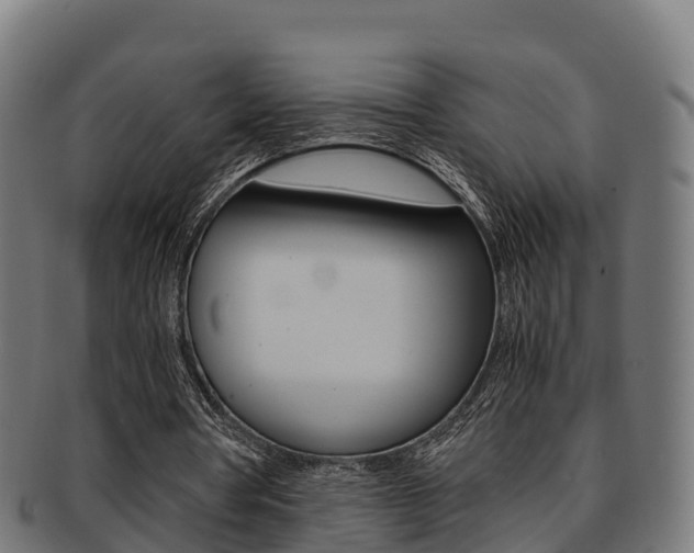 X0000091960386200709061104