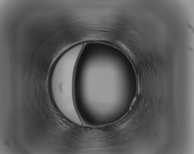 X0000091960387200709061104