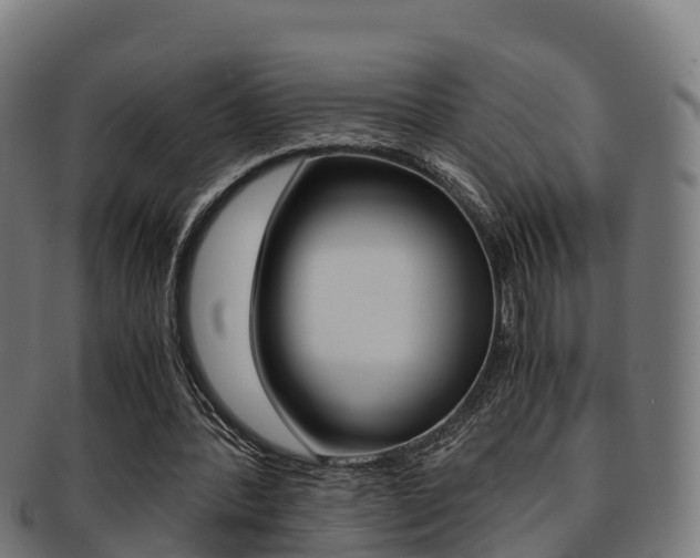 X0000091960388200709061104