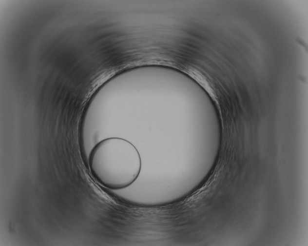 X0000091960389200709061104