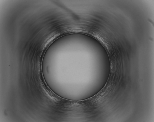 X0000091960390200709061104