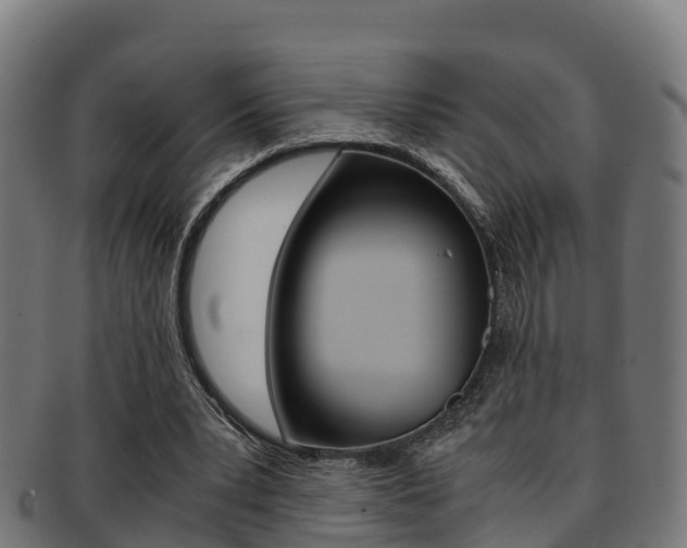 X0000091960391200709061104
