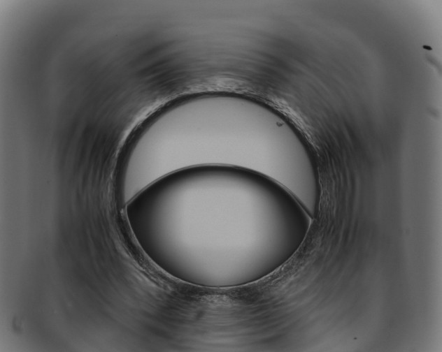 X0000091960392200709061104