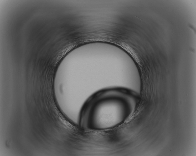 X0000091960393200709061104