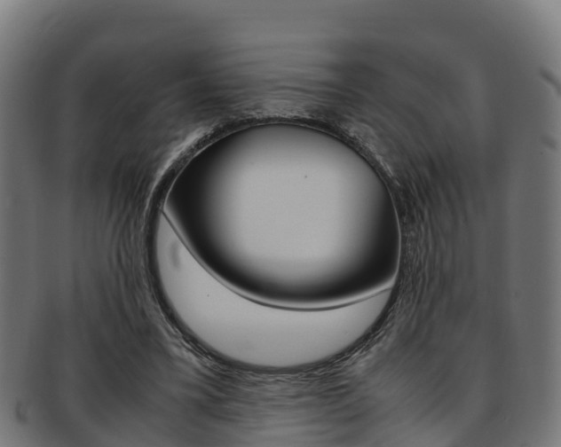 X0000091960395200709061104