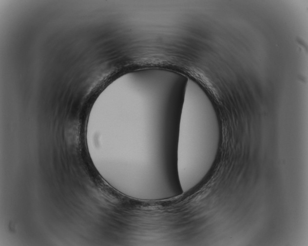 X0000091960396200709061104