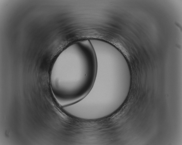 X0000091960397200709061104
