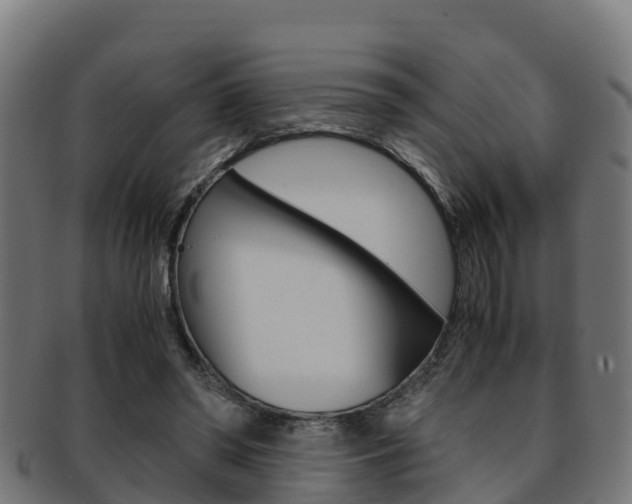 X0000091960398200709061104