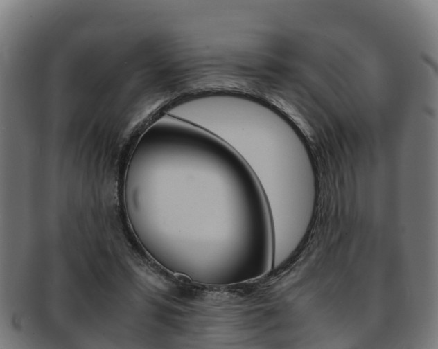 X0000091960399200709061104