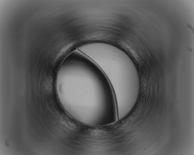 X0000091960400200709061104
