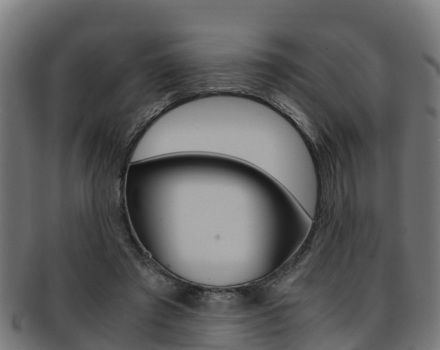 X0000091960401200709061104