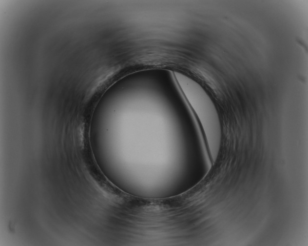 X0000091960404200709061104