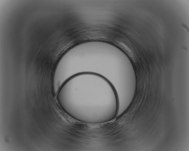 X0000091960405200709061104
