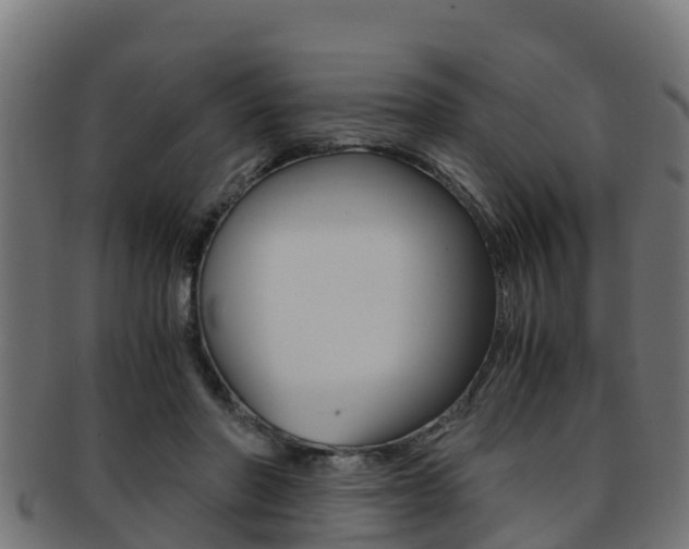 X0000091960406200709061104