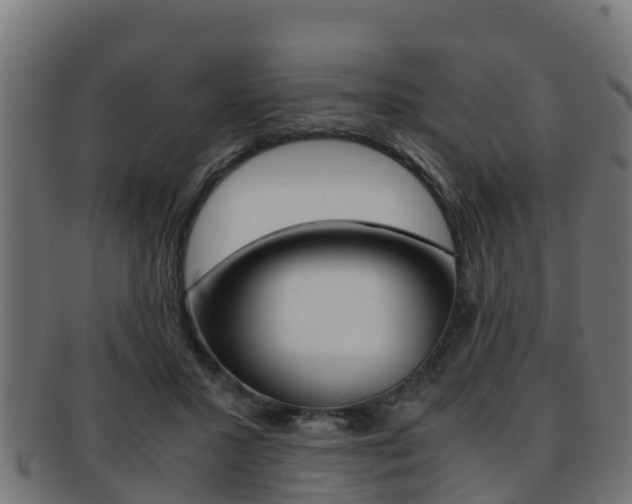 X0000091960407200709061104