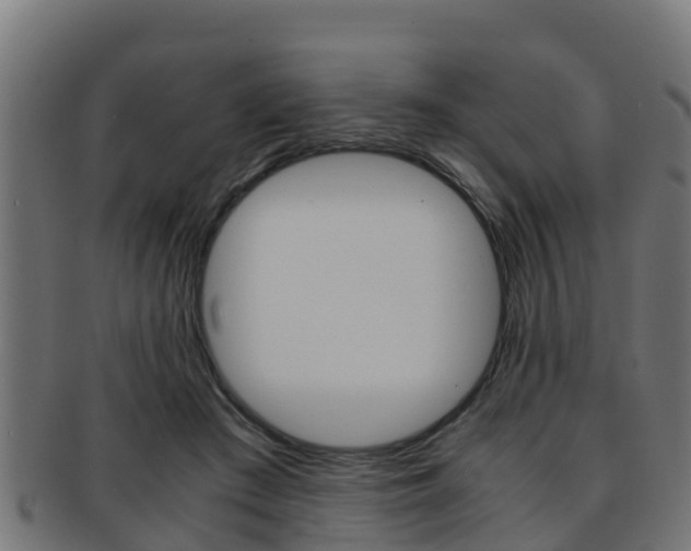 X0000091960409200709061104