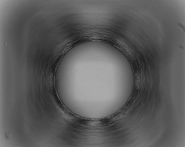 X0000091960410200709061104