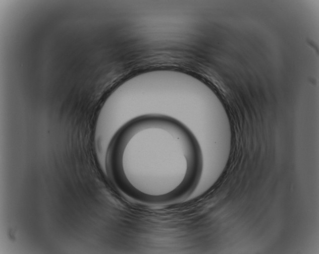 X0000091960411200709061104