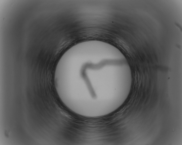 X0000091960412200709061104
