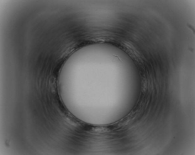 X0000091960414200709061104