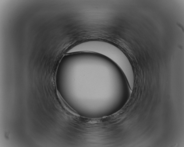 X0000091960415200709061104