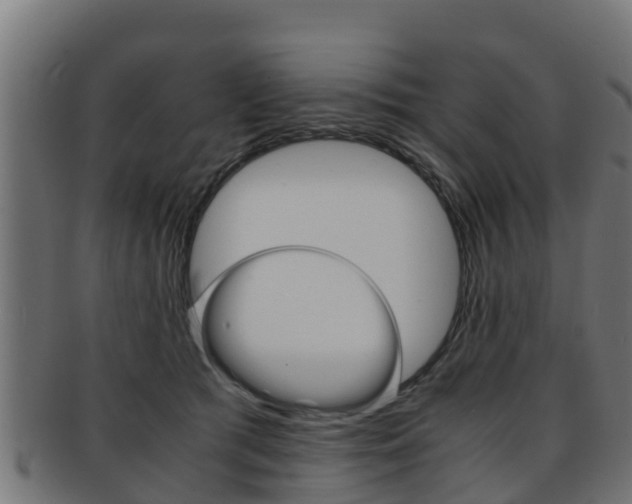 X0000091960417200709061104