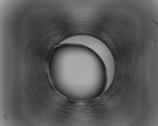 X0000091960419200709061104