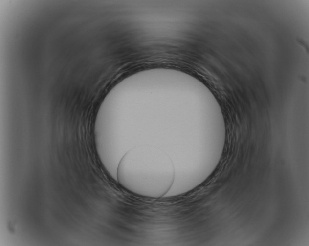 X0000091960421200709061104