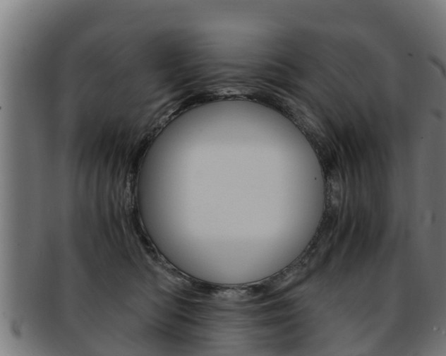 X0000091960422200709061104