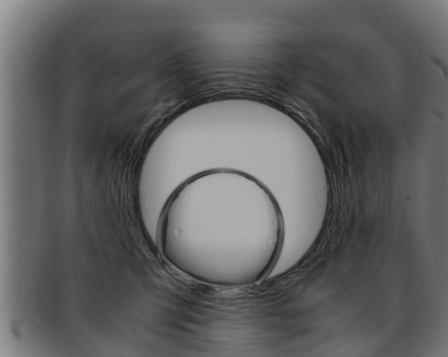 X0000091960423200709061104