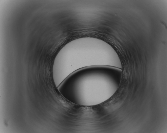 X0000091960424200709061104