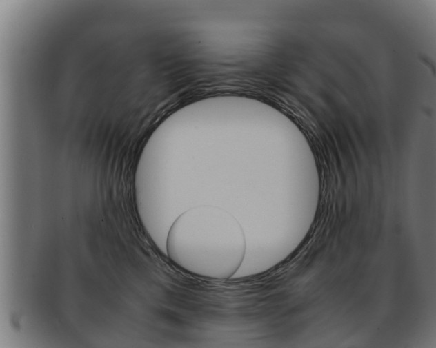 X0000091960425200709061104