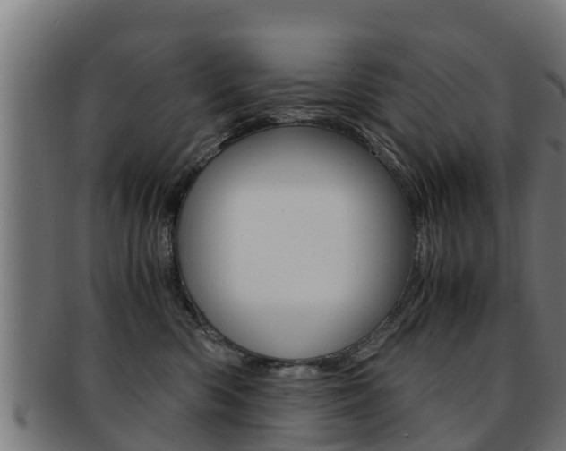 X0000091960426200709061104