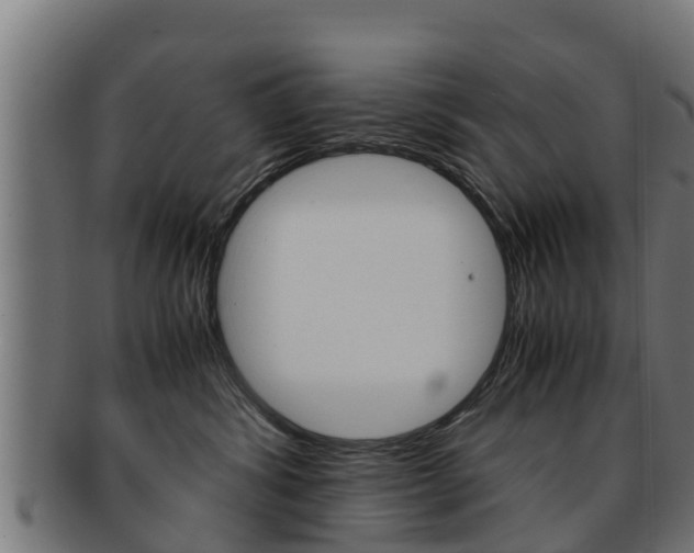 X0000091960428200709061104