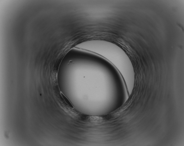 X0000091960429200709061104