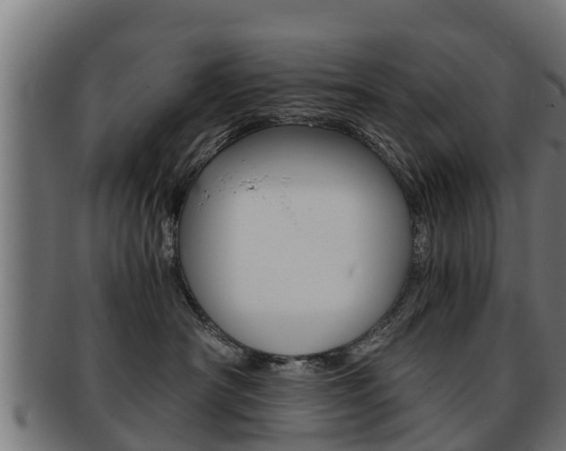 X0000091960430200709061104