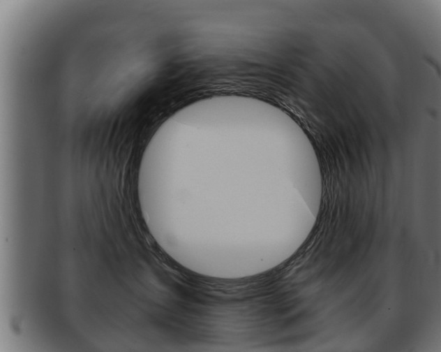 X0000091960431200709061104